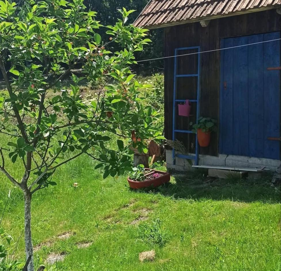Ferienwohnung Despot s haus Kremna Exterior foto